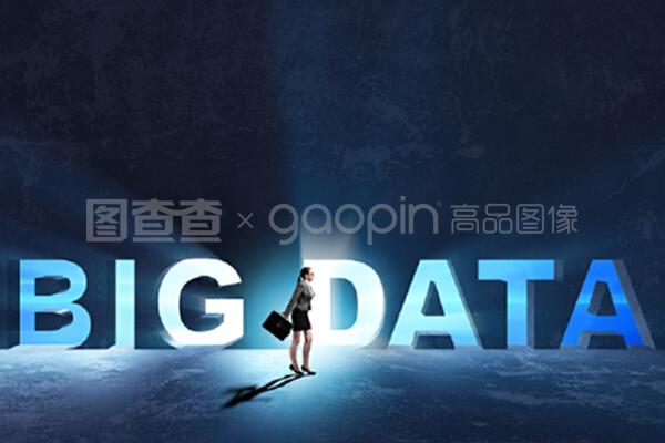 女商人的大數(shù)據(jù)概念
